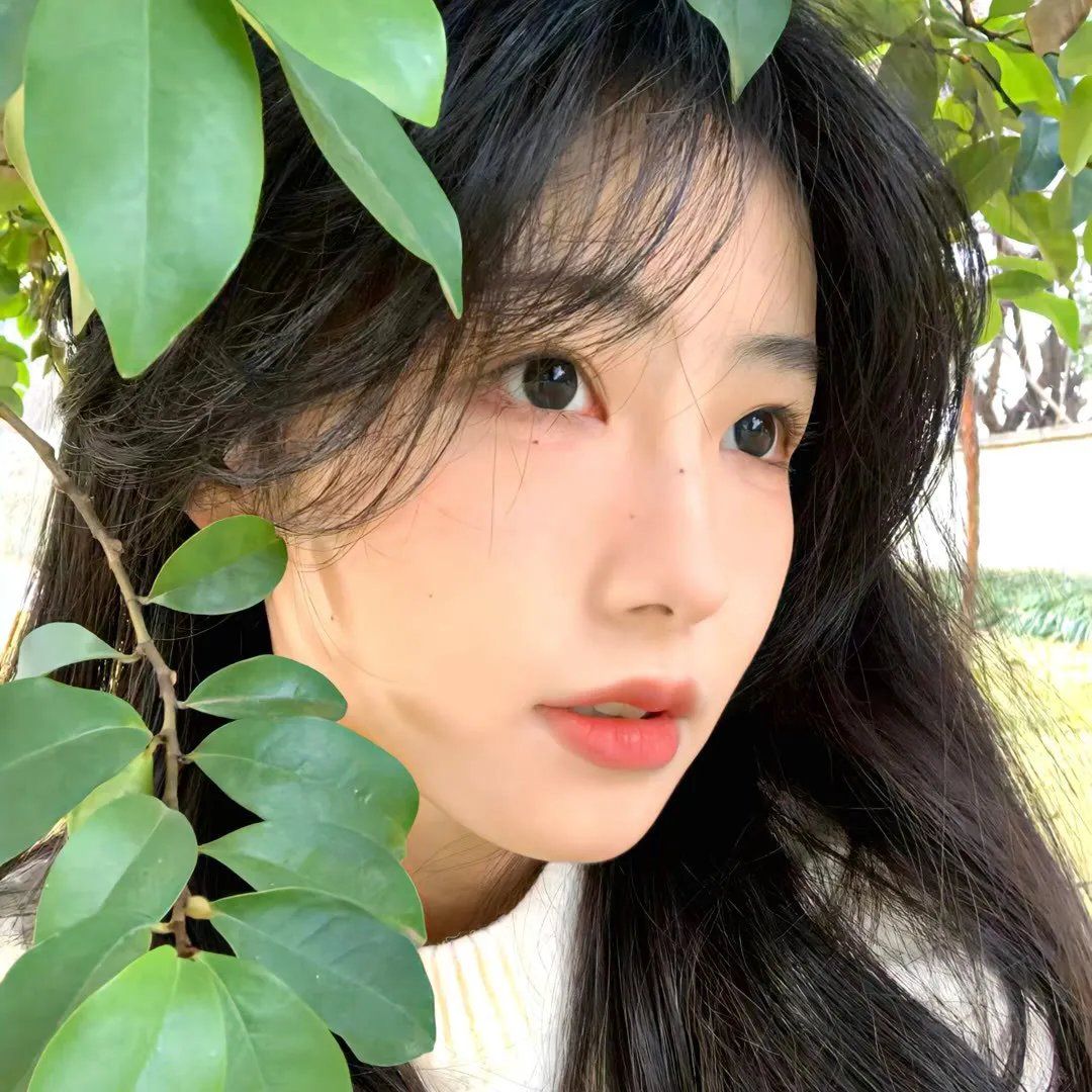 迷途人生